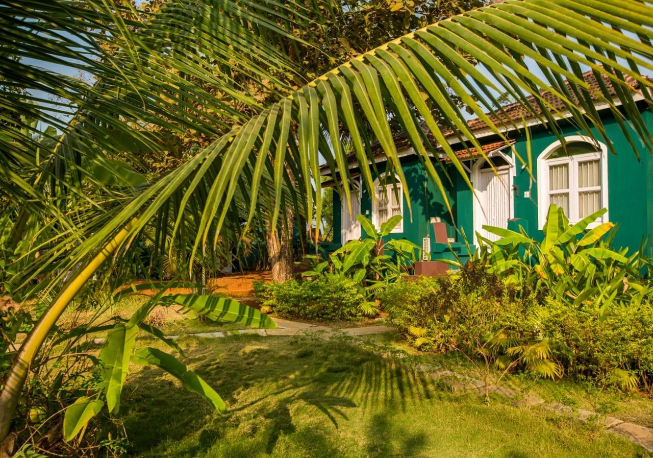 Aquatica Resorts & Spa Morjim Exteriér fotografie